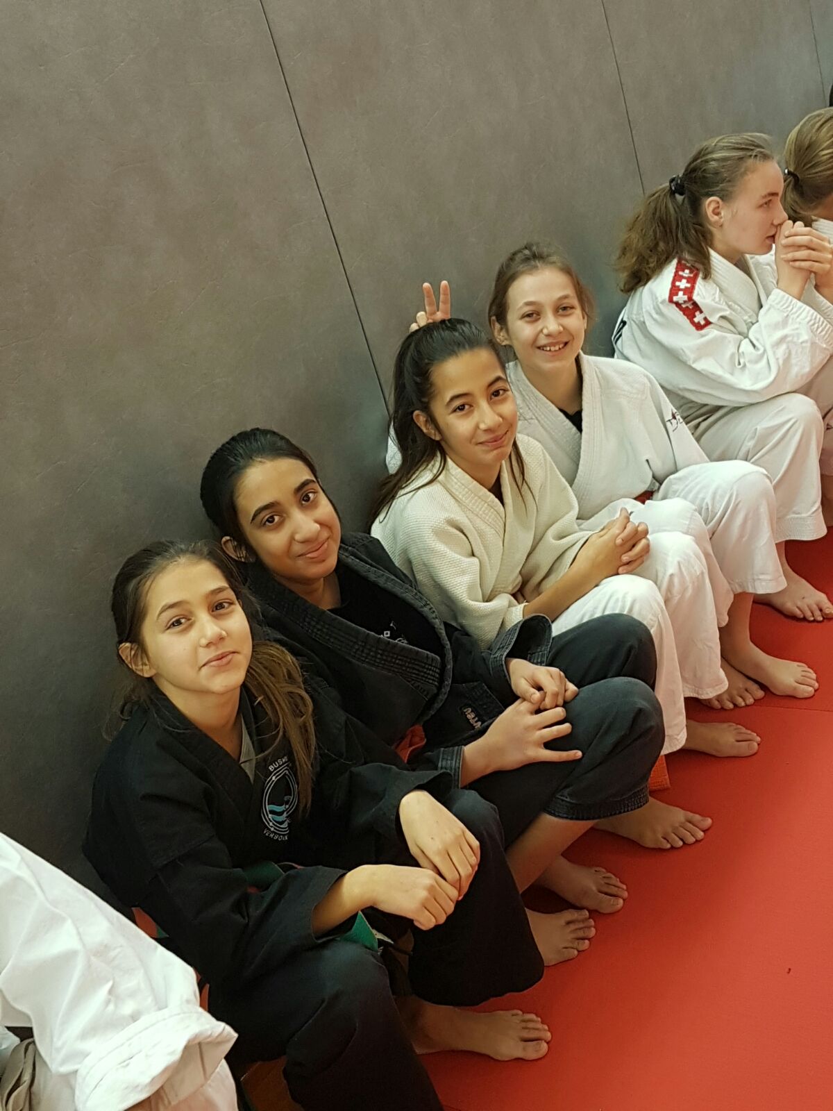 Le Demo Team aux Palettes