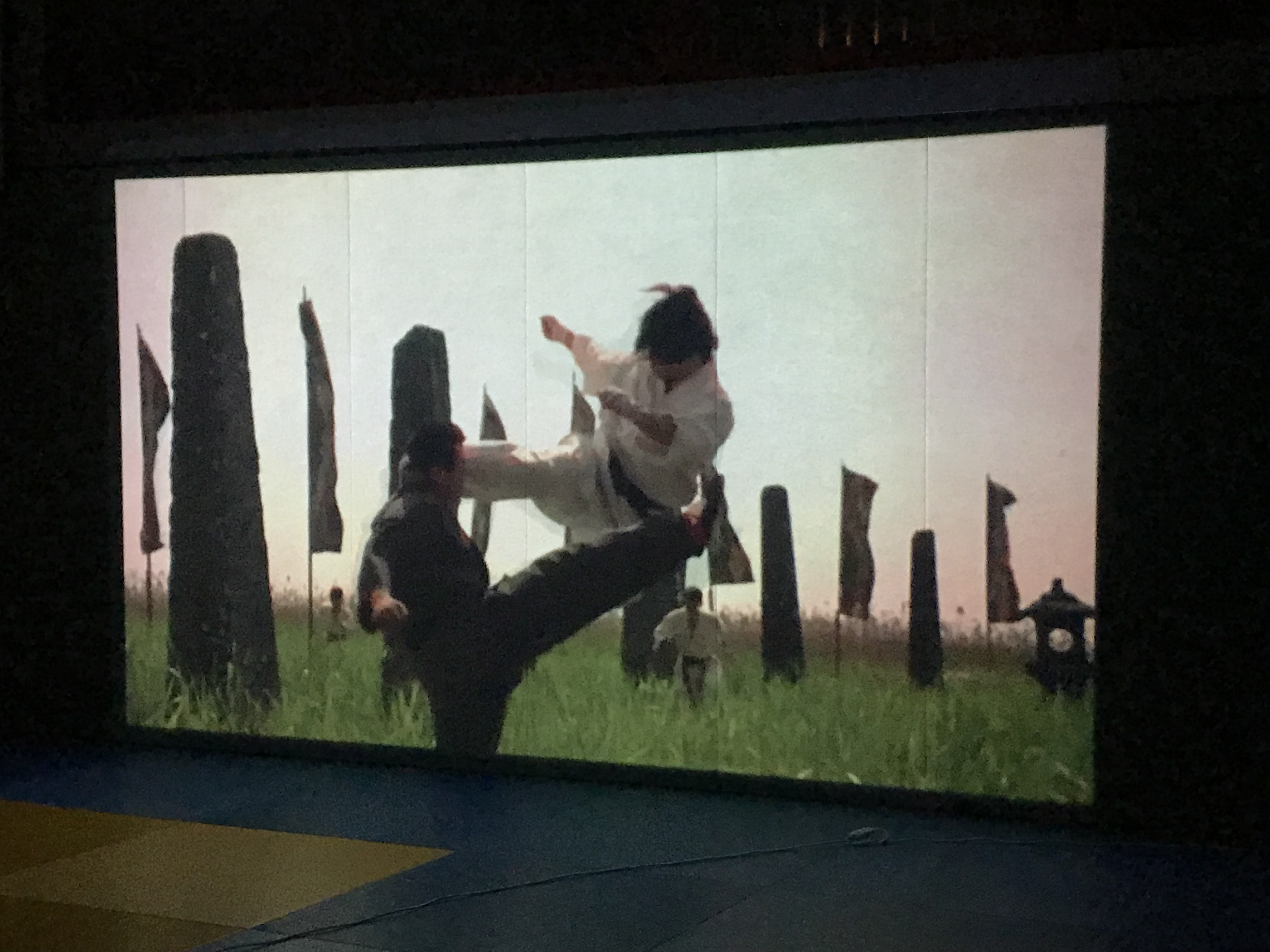 Soirée cinéma !